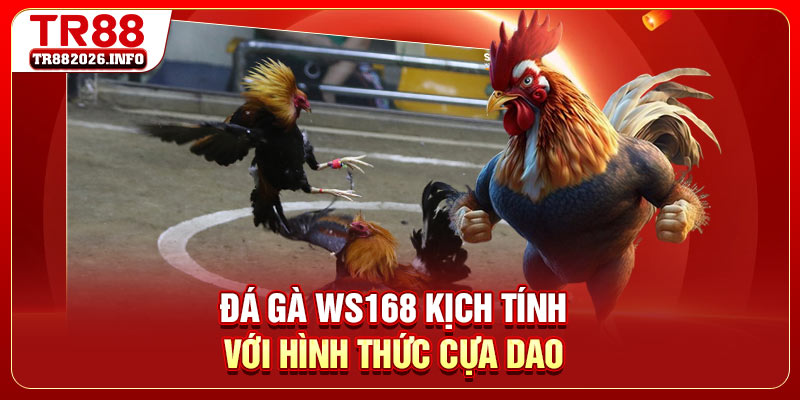 Đá gà WS168 kịch tính với hình thức cựa dao